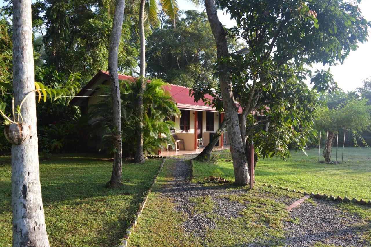 Zum Deutschen Bentota Exterior foto